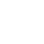 icons8-nextjs-480